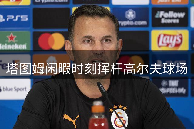 塔图姆闲暇时刻挥杆高尔夫球场